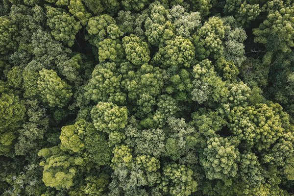 Réussir sa prépa médecine à Clermont-Ferrand : notre méthode !